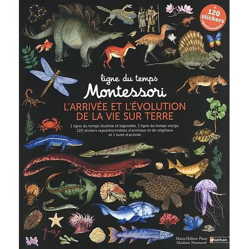 Ligne du temps Montessori : l'arrivée et l'évolution de la vie sur Terre - 2 grandes frises Montessori de 2,5 mètres + stickers repositionnables : [Autocollant]