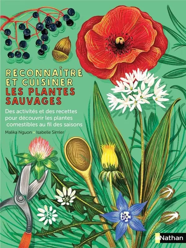 Reconnaître et cuisiner les plantes sauvages : des conseils pour les cueillir et des recettes faciles pour toute l'année !