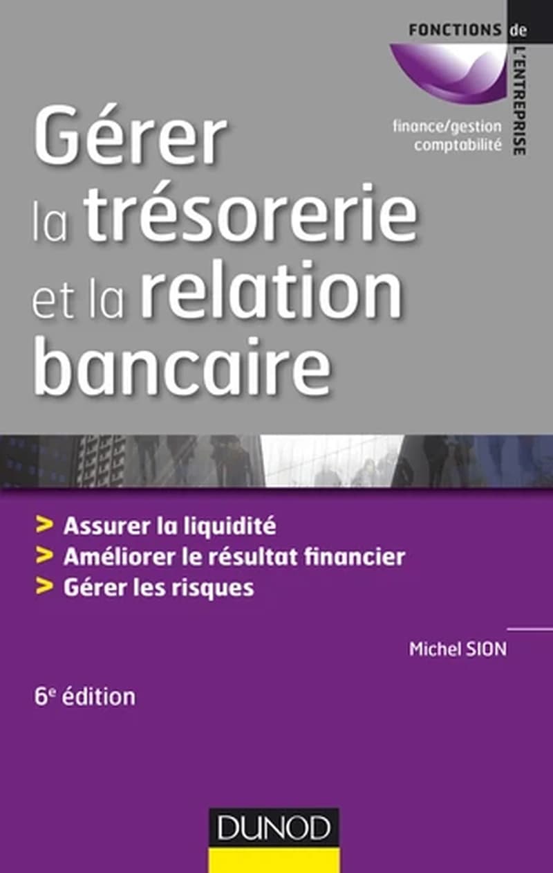 Gérer la trésorerie et la relation bancaire : assurer la liquidité, améliorer le résultat financier, gérer les risques (6e éd.) Michel Sion