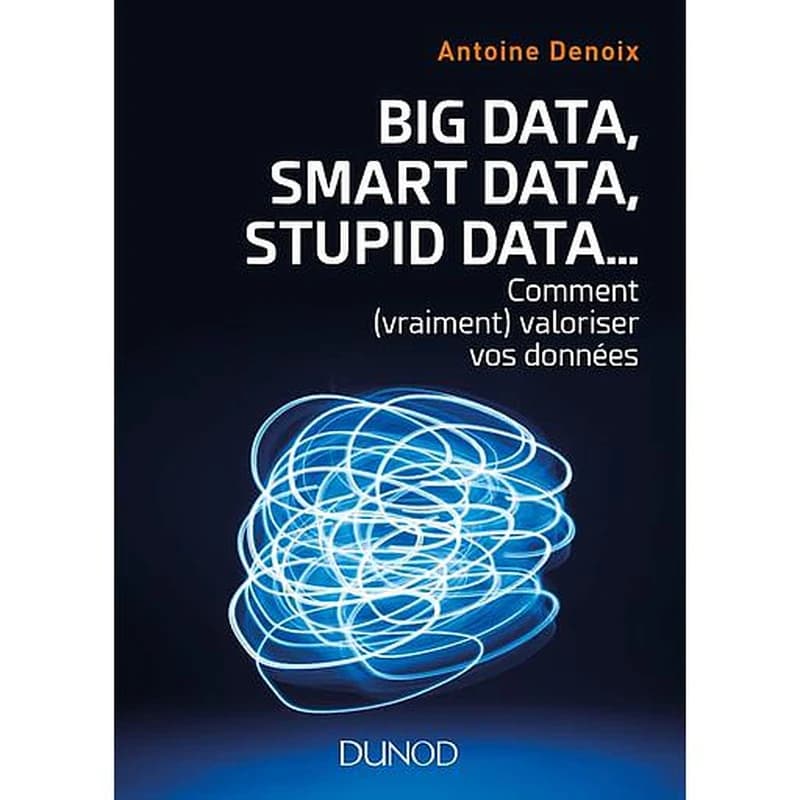 Big data, smart data, stupid data : comment (vraiment) valoriser vos données : petit manuel à l'usage de ceux qui veulent accélérer et réussir