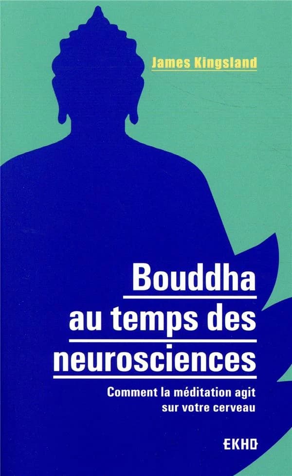 Bouddha au temps des neurosciences : comment la méditation agit sur notre cerveau
