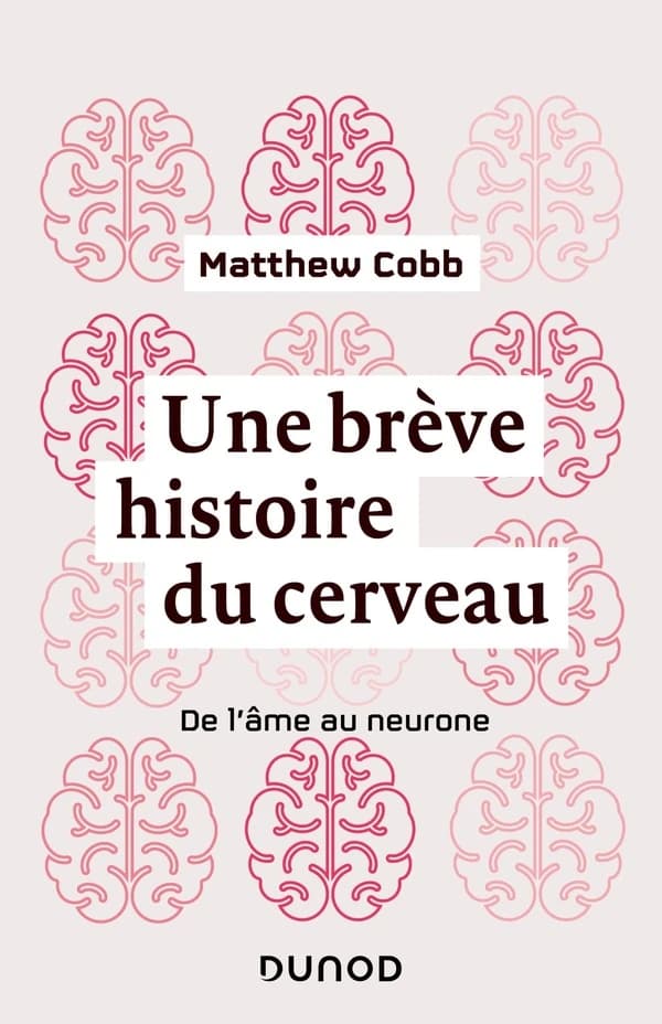 Une brève histoire du cerveau : de l'âme au neurone