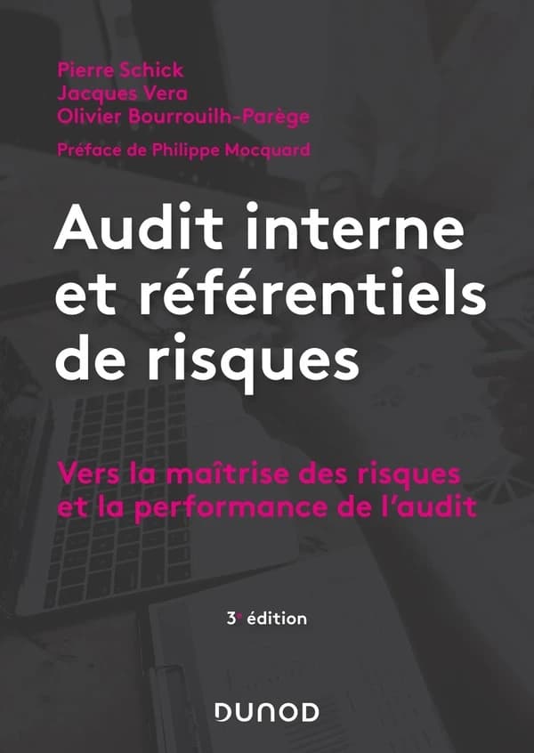 Audit interne et référentiels de risques : vers la maîtrise des risques et la performance de l'audit (3e éd.) Pierre Schick, Jacques Vera, Olivier Bourrouilh-Parège ; préface de Philippe Mocquard