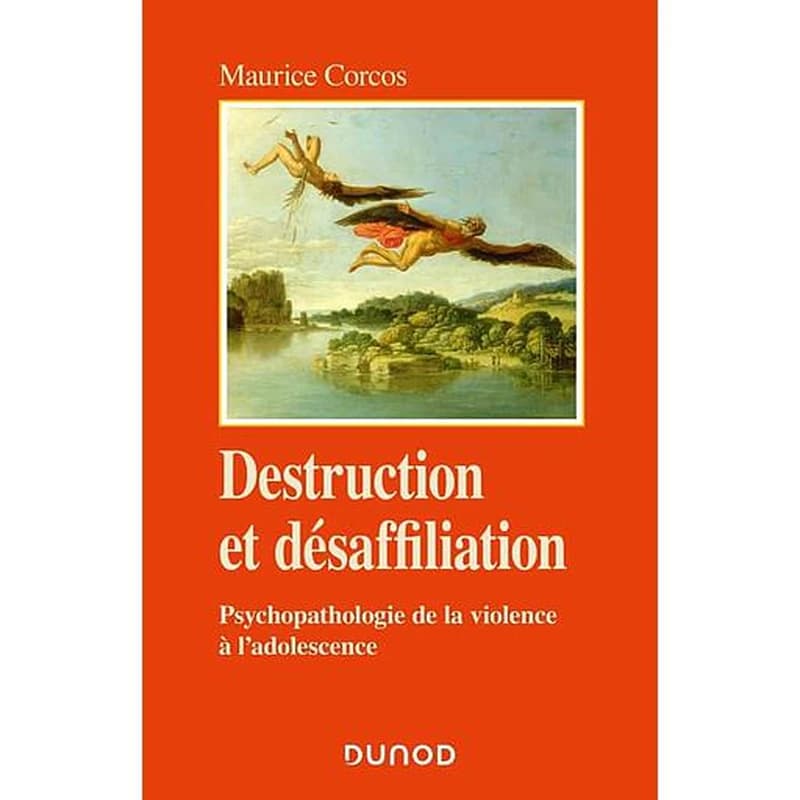 Destruction et désaffiliation : psychopathologie de la violence adolescente