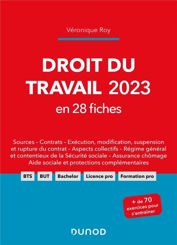 Droit du travail 2023 : en 28 fiches : sources, contrats, exécution, modification, suspension et rupture du contrat...