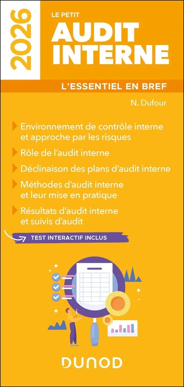Le petit audit interne : l'essentiel en bref : environnemenet de contrôle interne...