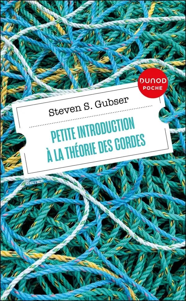 Petite introduction à la théorie des cordes