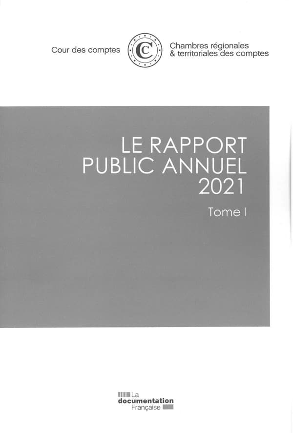 Le rapport public annuel : Tome 1