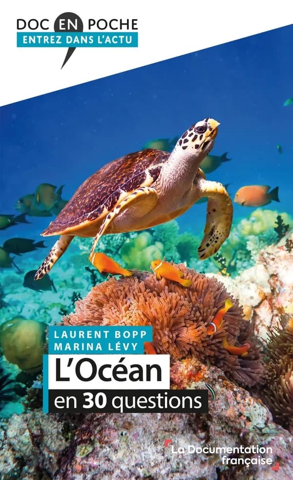 L'océan en 30 questions