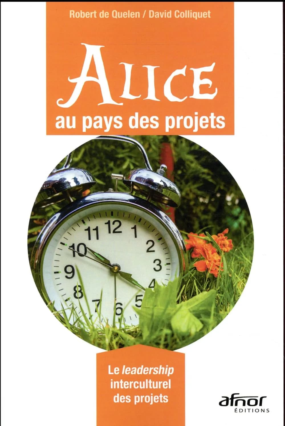 Alice au pays des projets : le leadership interculturel des projets