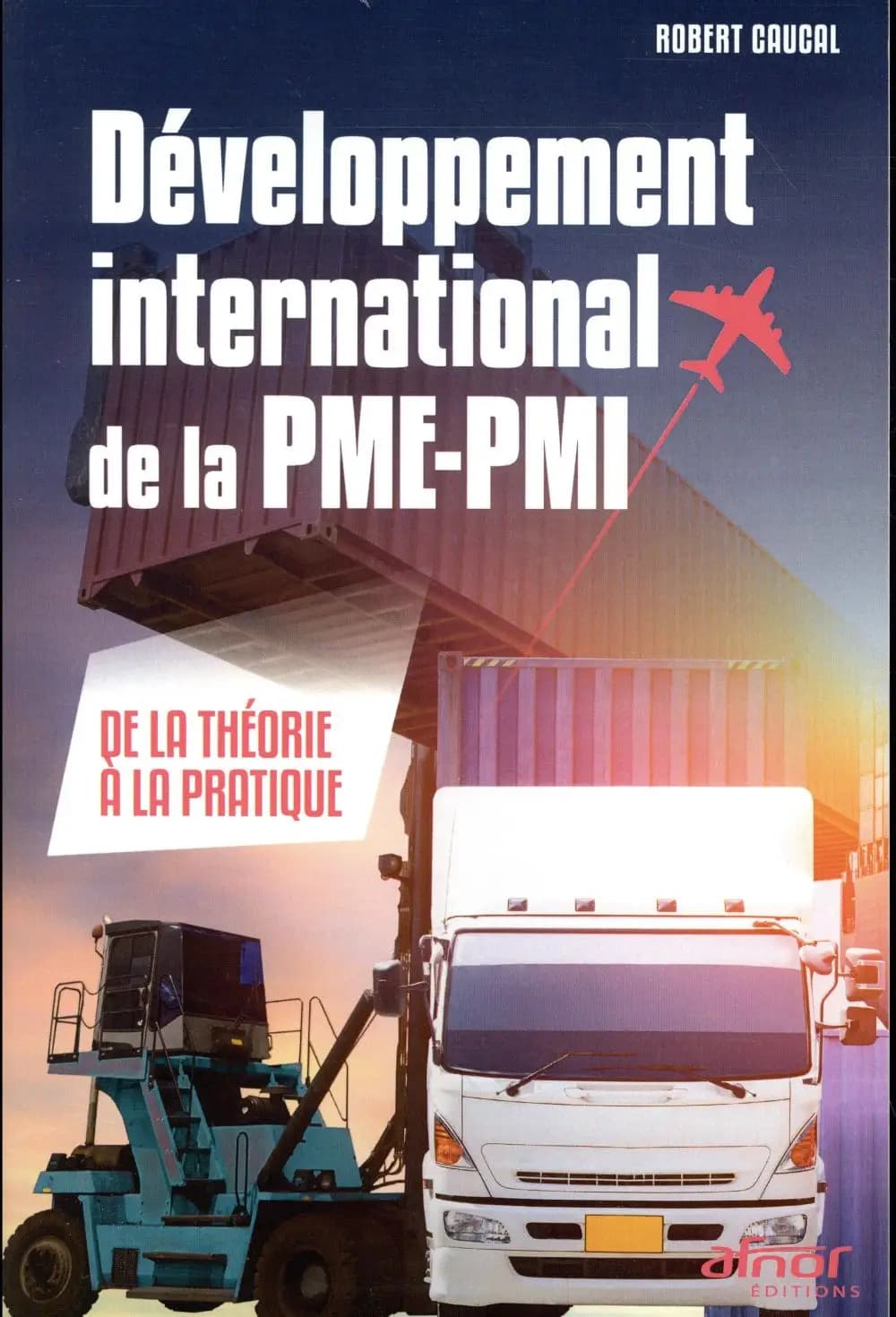 Développement international de la PME-PMI : de la théorie à la pratique