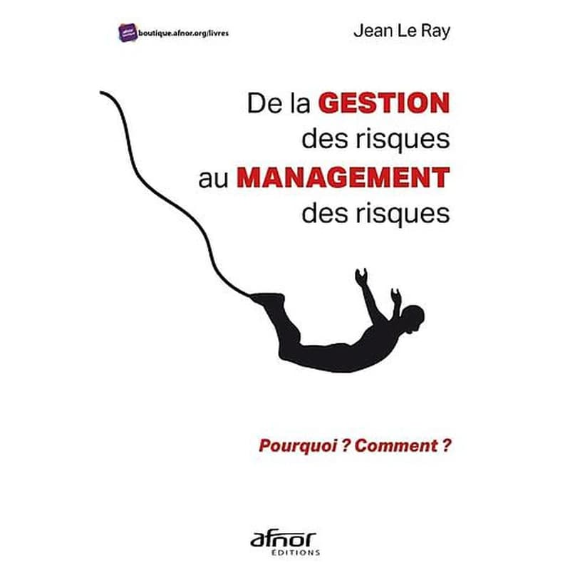 De la gestion des risques au management des risques : pourquoi ? Comment ? ([Nouvelle éd.]) Jean Le Ray