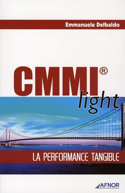 CMMI light : la performance tangible