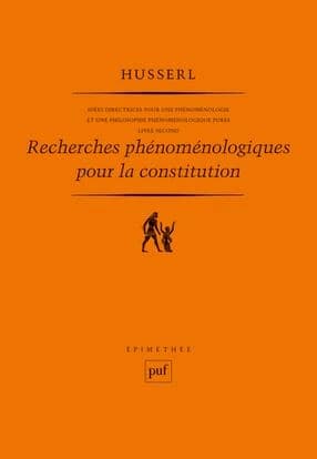 Recherches phénoménologiques pour la constitution