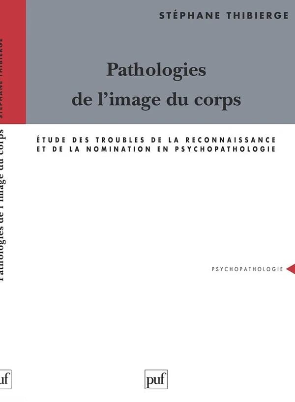 Pathologies de l'image du corps : étude des troubles de la reconnaissance et de la nomination en psychopathologie