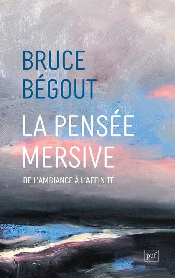 La pensée mersive : de l'ambiance à l'affinité
