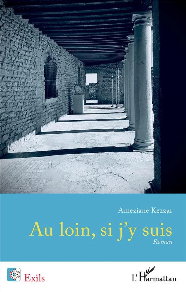 Au loin, si j'y suis : roman