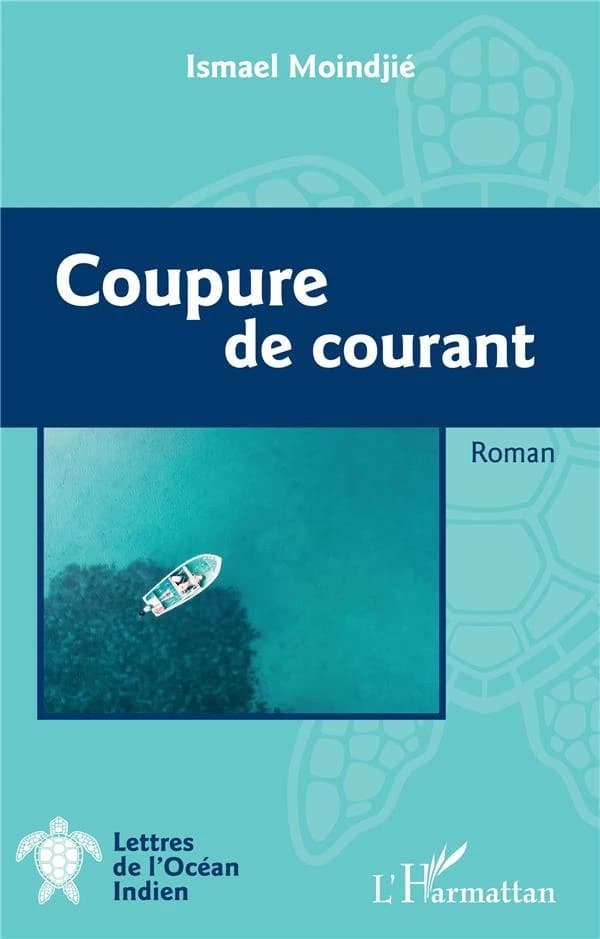 Coupure de courant : roman
