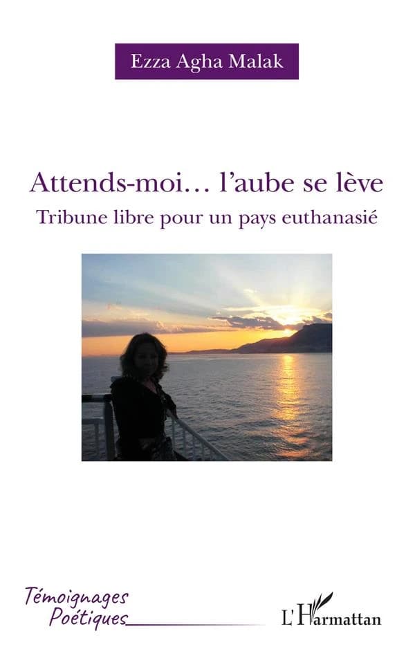 Attends-moi, l'aube se lève : tribune libre pour un pays euthanasié