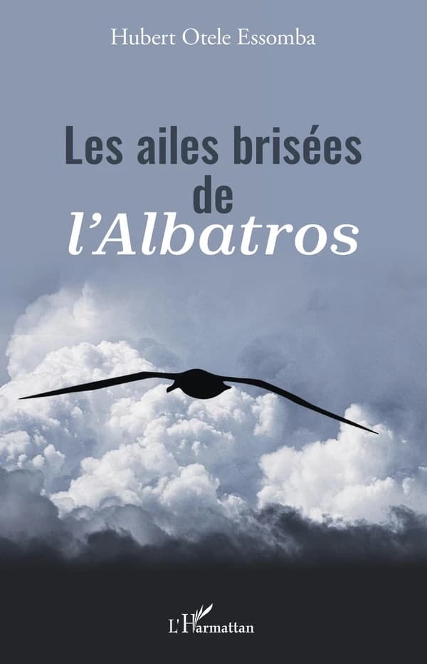Les ailes brisées de l'albatros
