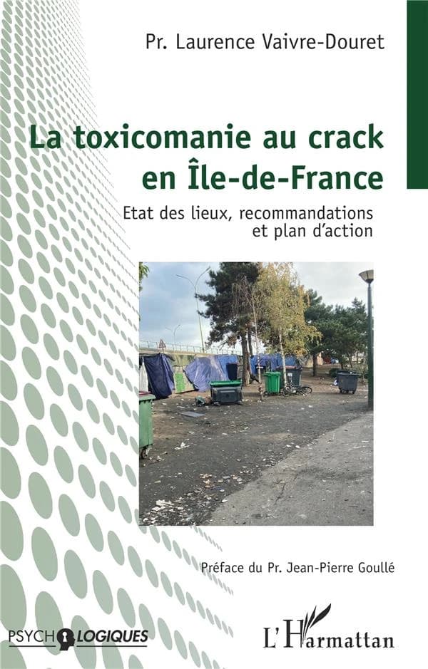 La toxicomanie au crack en Île-de-France : état des lieux, recommandations et plan d'action