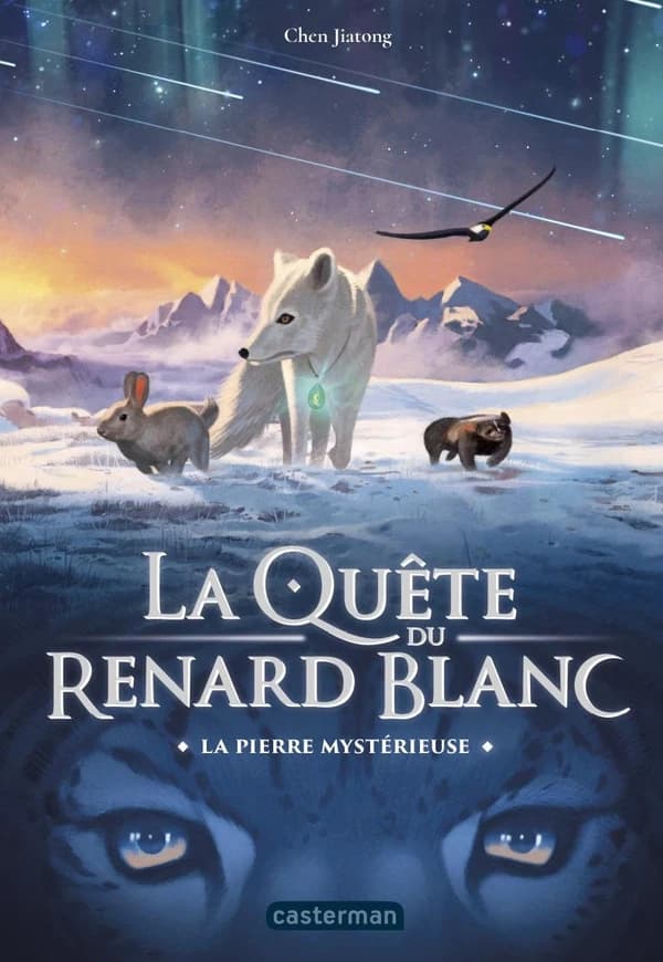 La pierre mystérieuse