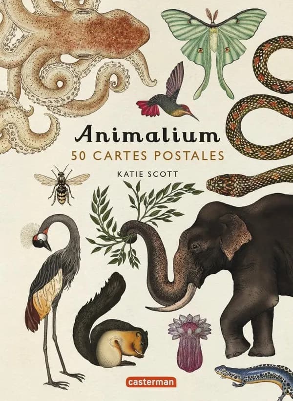Animalium : 50 cartes postales : [Carte de fantaisie]