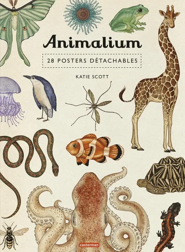 Animalium : 28 posters détachables : [Image didactique]