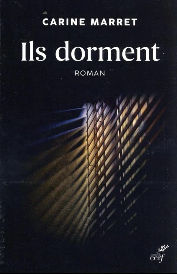Ils dorment : roman