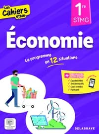 Économie, 1re STMG