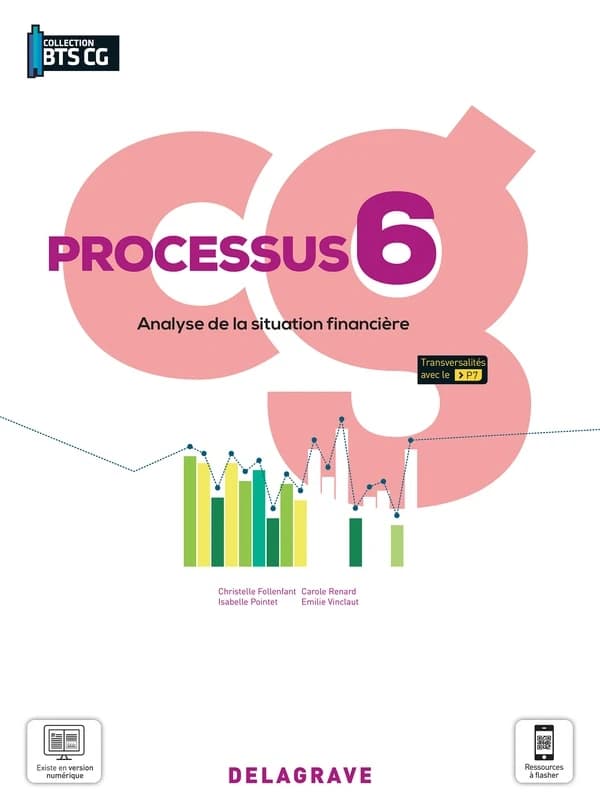 Processus 6 Analyse de la situation financière BTS Comptabilité Gestion : Pochette élève
