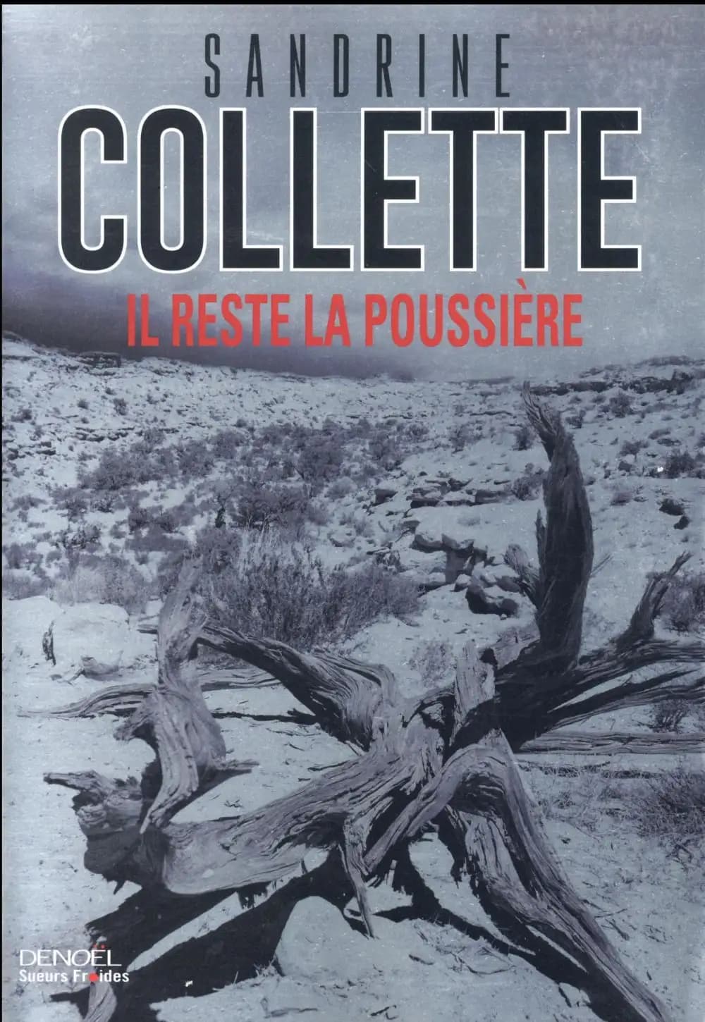 Il reste la poussière