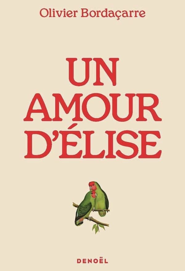 Un amour d'Élise : roman