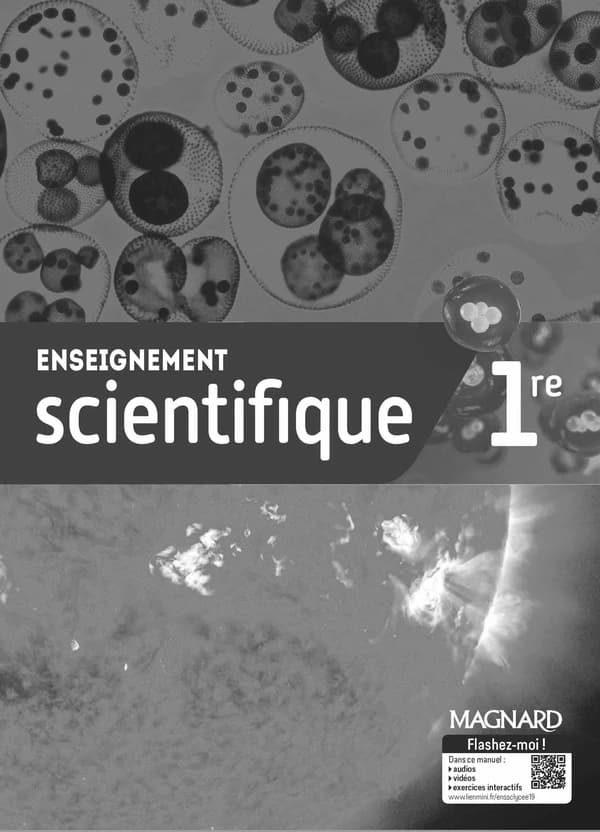 Enseignement scientifique ; 1re ; livre du professeur (édition 2019)