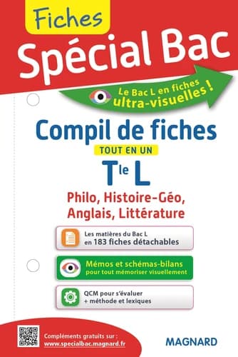 Compil de fiches tout en un Tle L. Philosophie, Histoire-géo, Anglais, Littérature