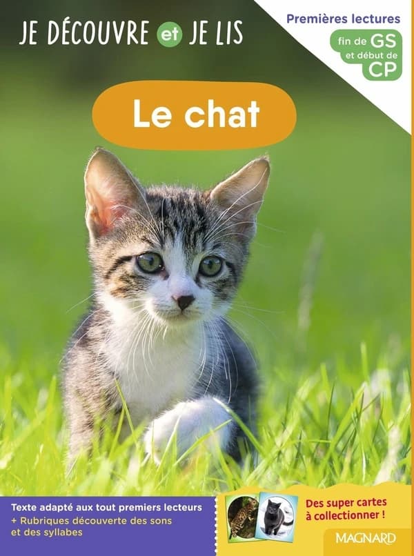 Le chat