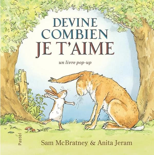 Devine combien je t'aime : un livre pop-up