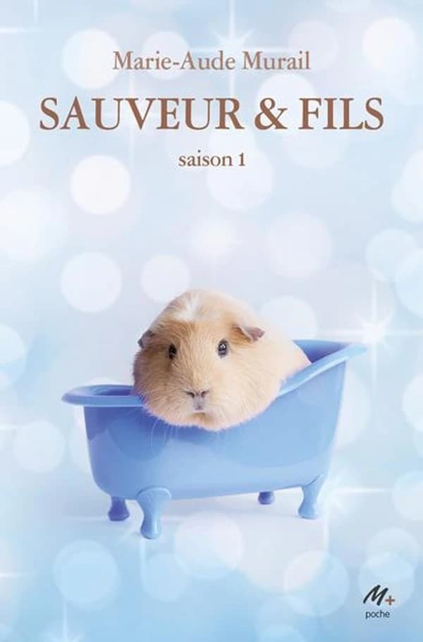 Sauveur & fils Saison 1