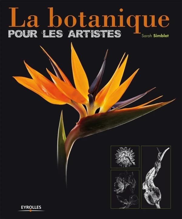 La botanique : pour les artistes