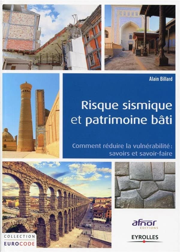 Risque sismique et patrimoine bâti : réduction de la vulnérabilité, savoirs et savoir-faire