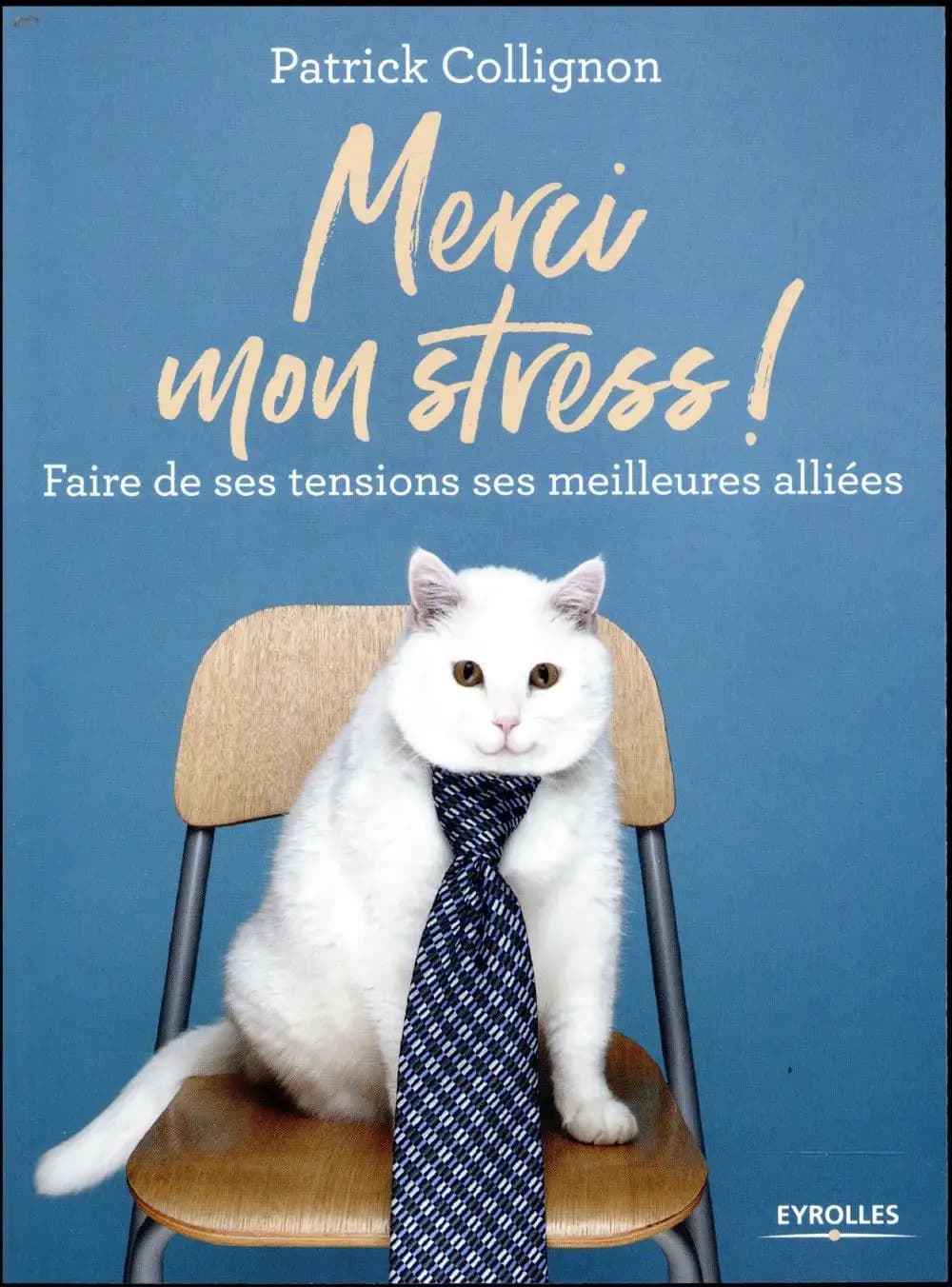 Merci mon stress : [faire de ses tensions ses meilleures alliées]