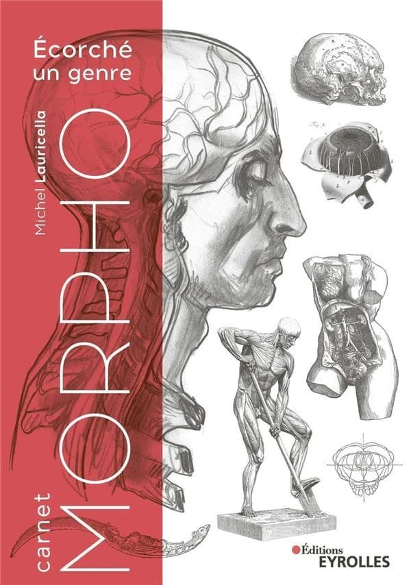 Carnet morpho : écorché, un genre : représentations de l'écorché & exercice du carnet