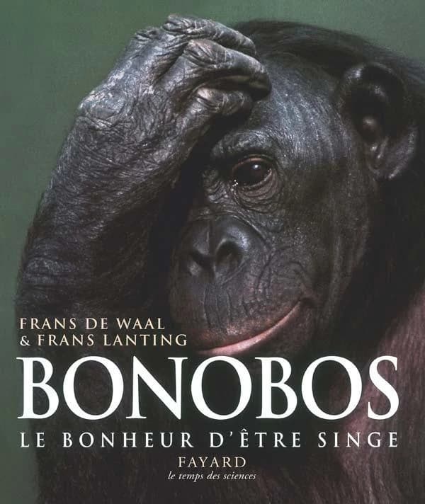 Bonobos : le bonheur d'être singe