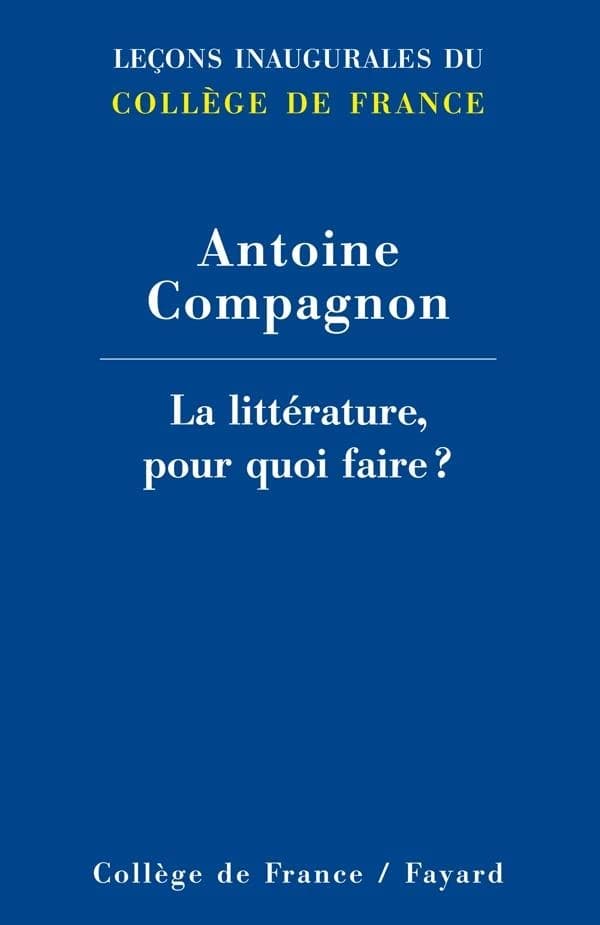 La littérature, pour quoi faire ?