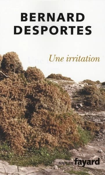 Une irritation : roman