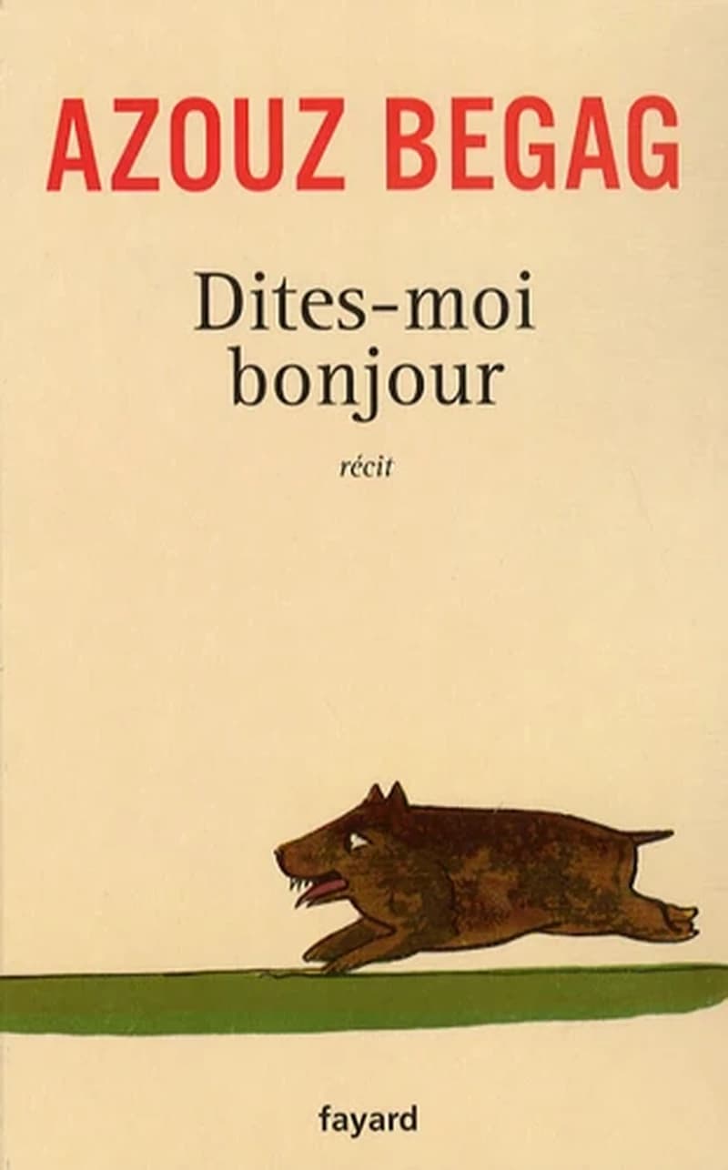Dites-moi bonjour : récit