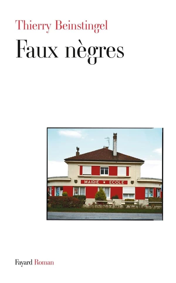 Faux nègres : roman