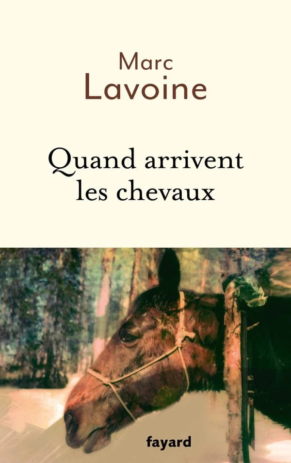 Quand arrivent les chevaux : le roman d'une jument : récit basé sur une histoire vraie