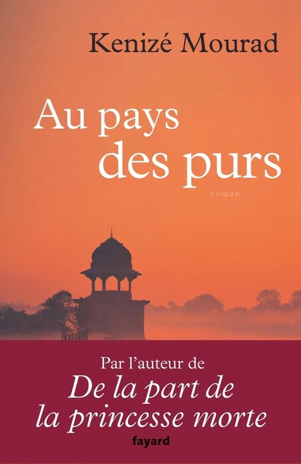 Au pays des purs : roman