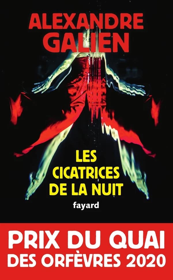 Les cicatrices de la nuit : roman